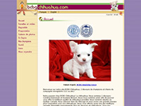 http://www.mini-chihuahuas.com